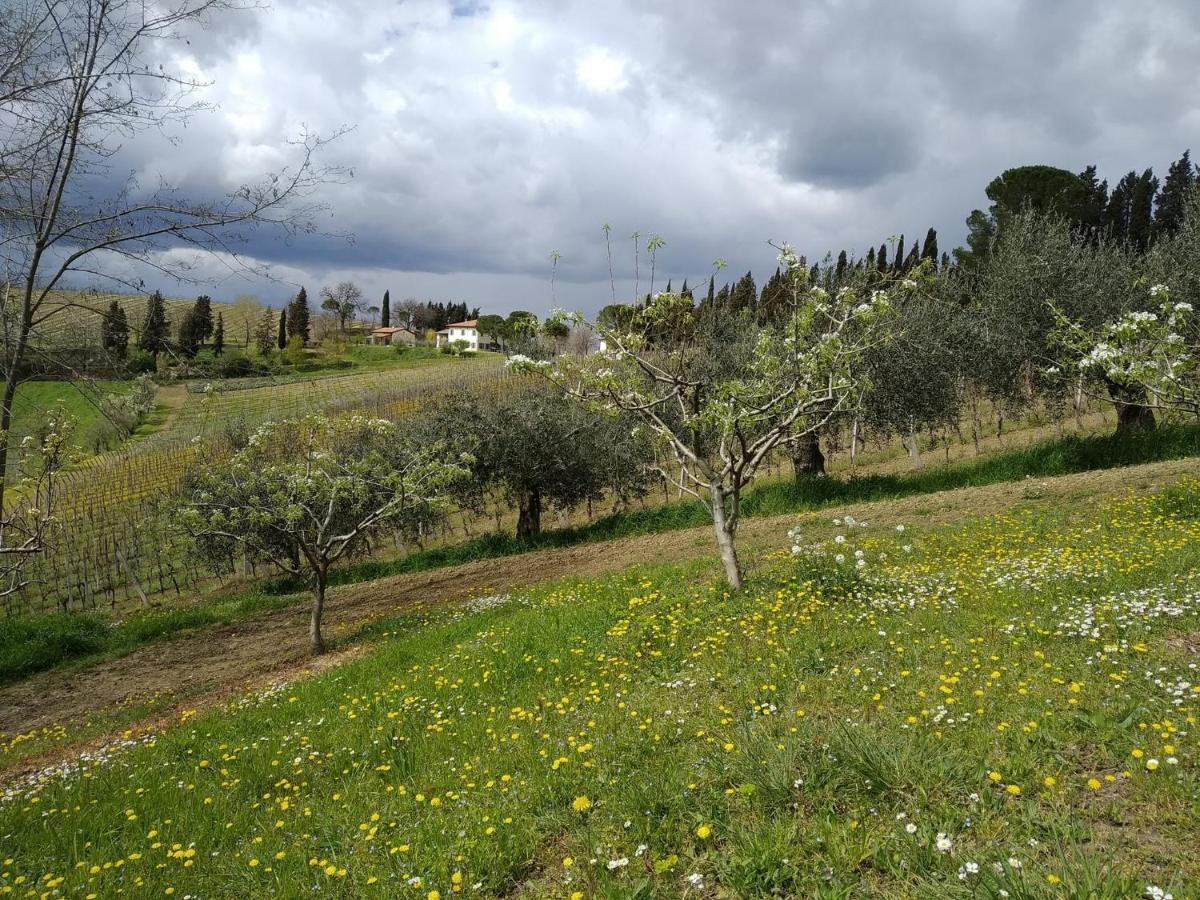 פאנצה Agriturismo Ca'De'Gatti מראה חיצוני תמונה