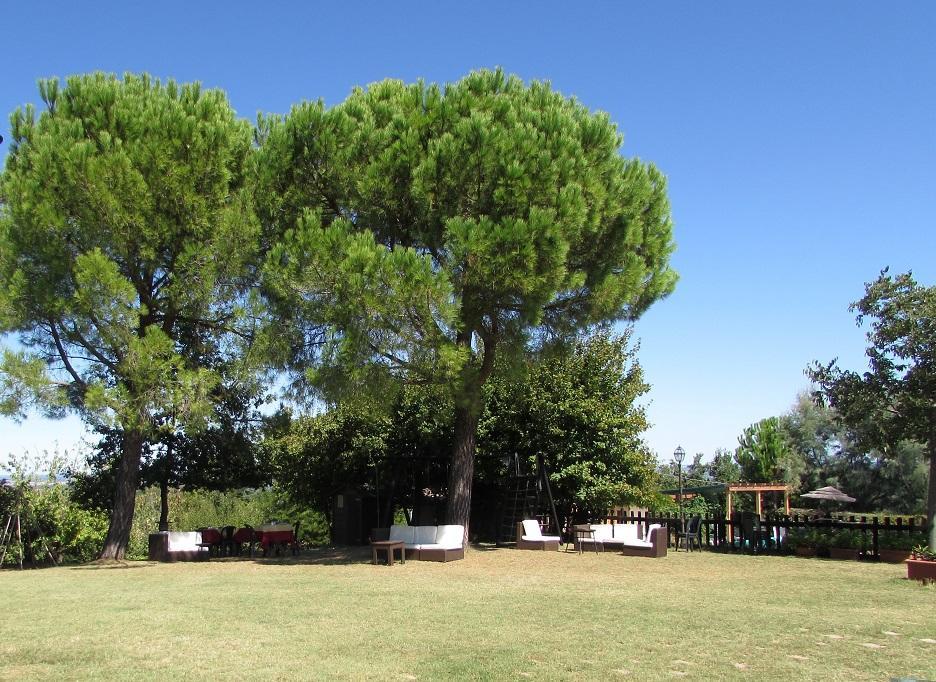פאנצה Agriturismo Ca'De'Gatti מראה חיצוני תמונה