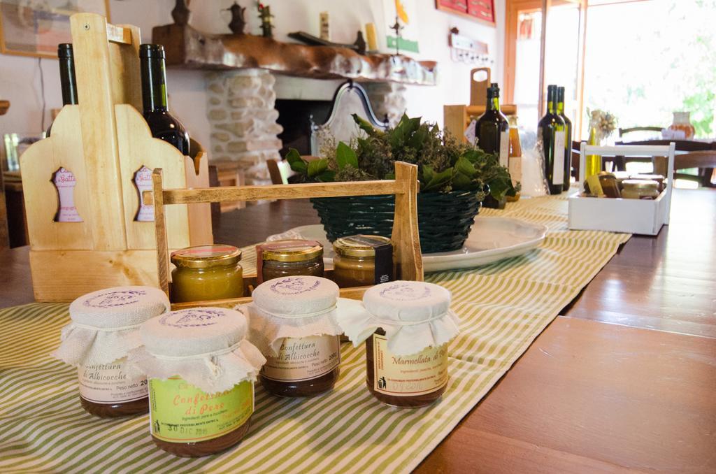פאנצה Agriturismo Ca'De'Gatti מראה חיצוני תמונה