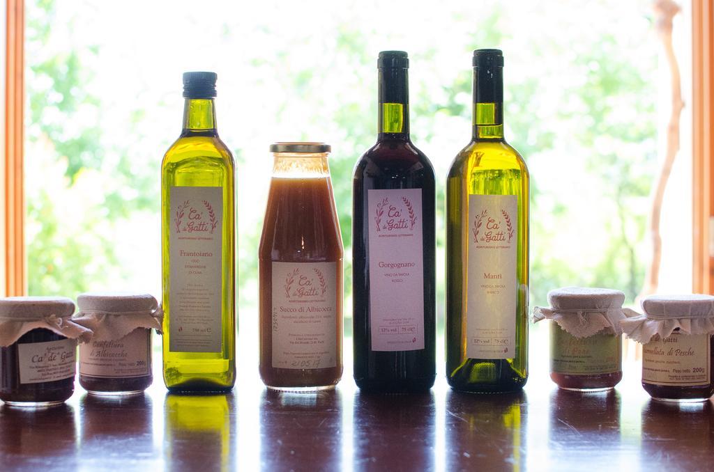 פאנצה Agriturismo Ca'De'Gatti מראה חיצוני תמונה