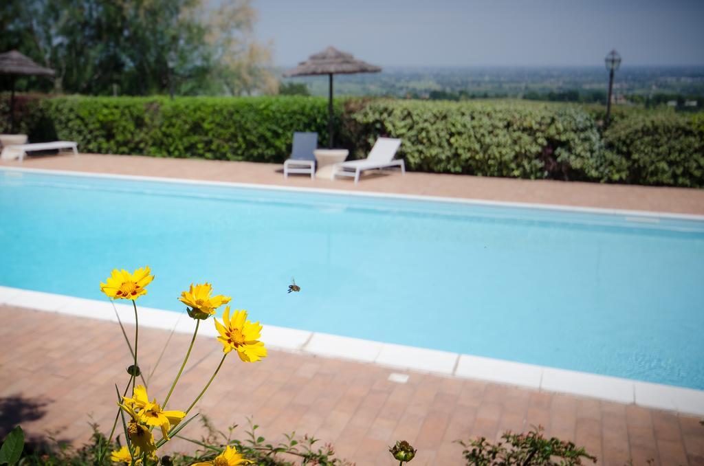 פאנצה Agriturismo Ca'De'Gatti מראה חיצוני תמונה