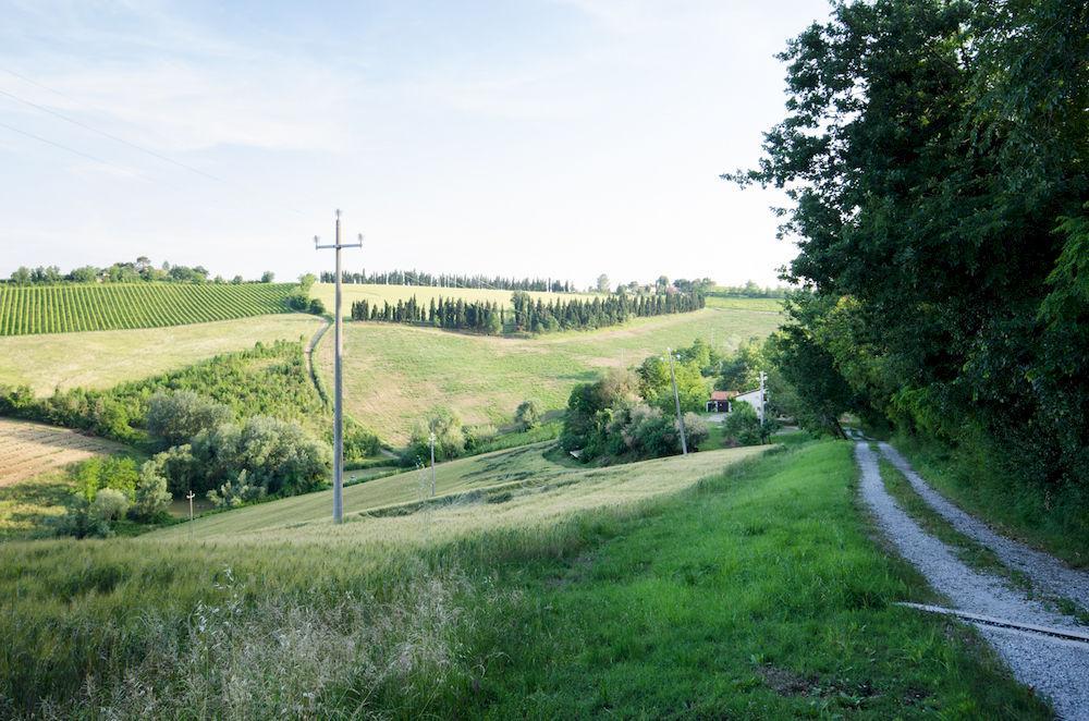 פאנצה Agriturismo Ca'De'Gatti מראה חיצוני תמונה